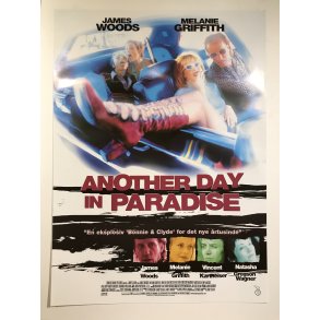 Another Day In Paradise
