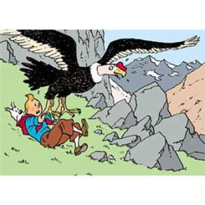 Tintin og Condor (Soltemplet)