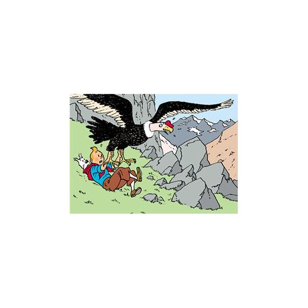 Tintin og Condor (Soltemplet)