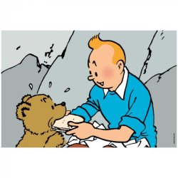 Tintin Puslespil - Tintin Og Bjrneunge, 24 Brikker