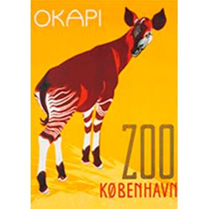 Zoologisk have Plakat - Okapi