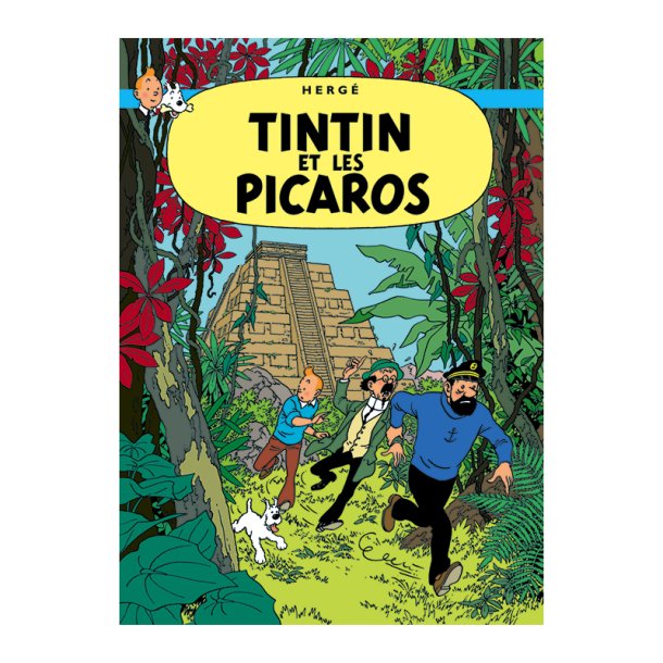 Tintin Postkort - Tintin og Picaroerne