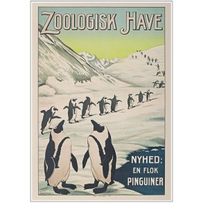 Zoologisk have Plakat - Pingviner