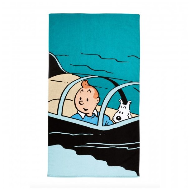 Tintin &amp; Terry i hajubd