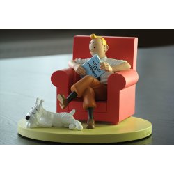 Tintin &amp; Terry hjemme 