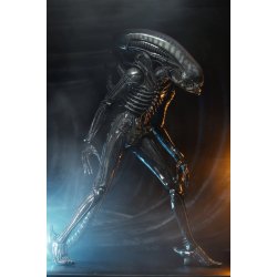 Alien Big Chap - 1/4 Scale Action Figure (56 cm)